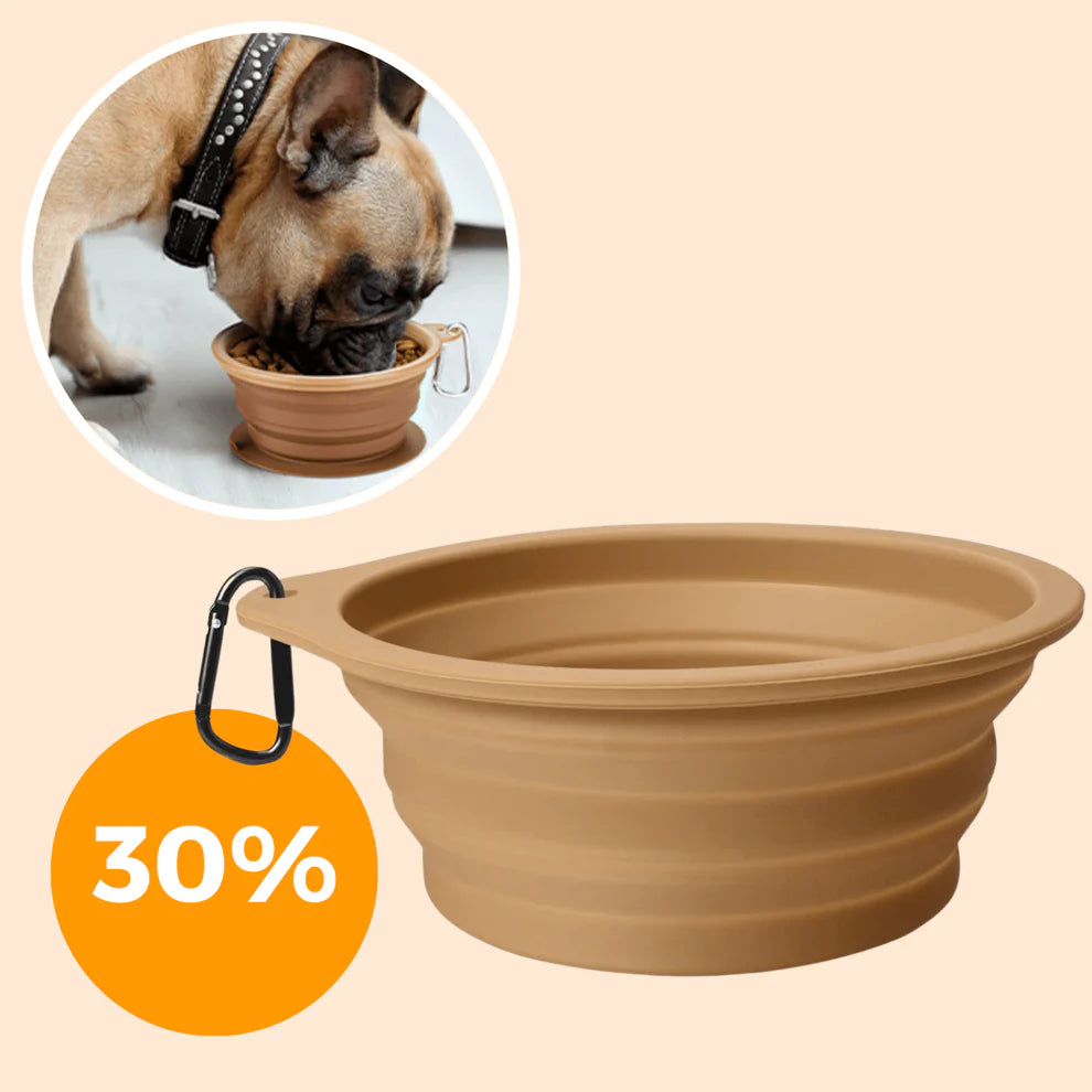 Foldable Water Bowl