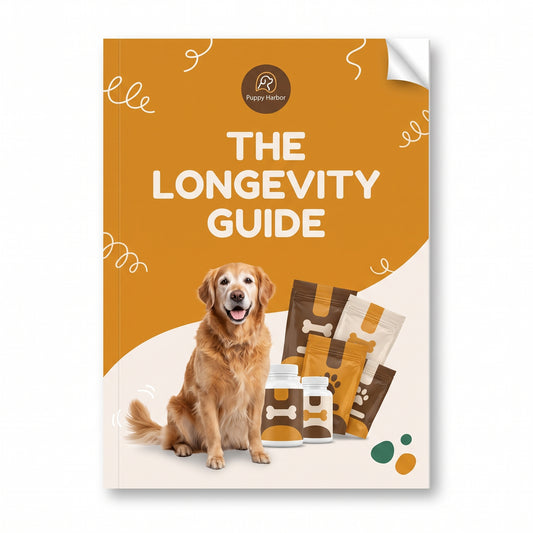 Dog Longevity Book (Instant Download)