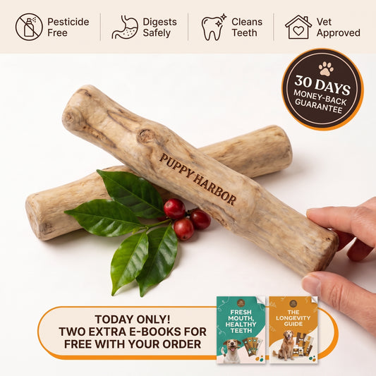 Kofibone™ Coffee Wood Chew