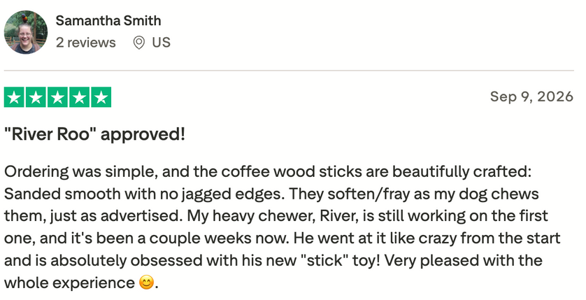 Trustpilot review: five stars