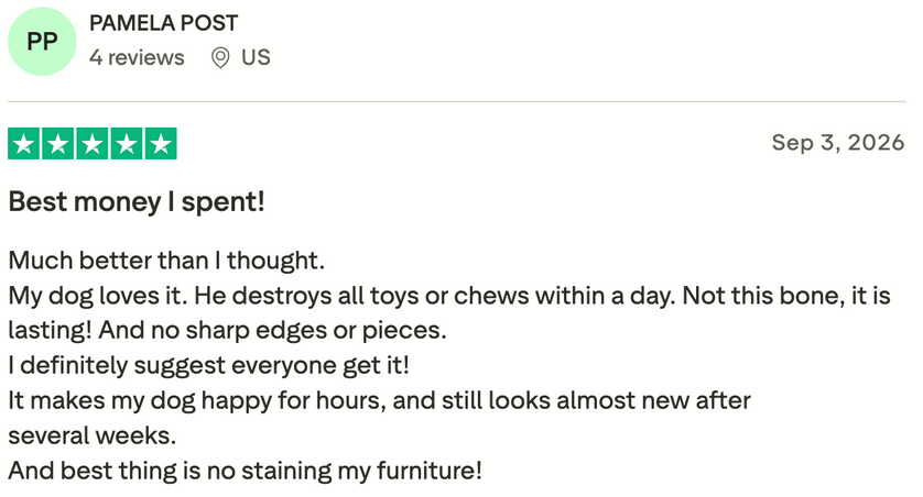 Trustpilot review: five stars