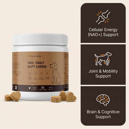 Puppy Harbor Vitality NAD⁺ - Dog Longevity Chew