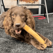 Kofibone™ Coffee Wood Chew
