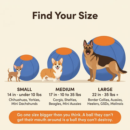 Herding ball size guide: small, medium and large