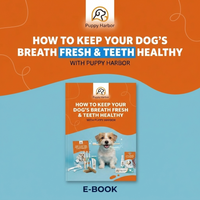 Keep Your Dog's Mouth Fresh & Teeth Healthy — Dental Guide