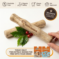 Kofibone™ Coffee Wood Chew