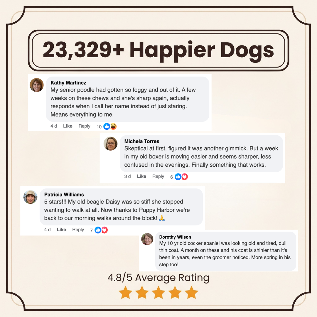Puppy Harbor Vitality NAD⁺ - Dog Longevity Chew