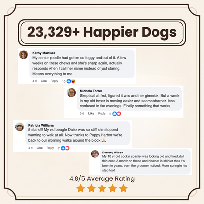Puppy Harbor Vitality NAD⁺ - Dog Longevity Chew