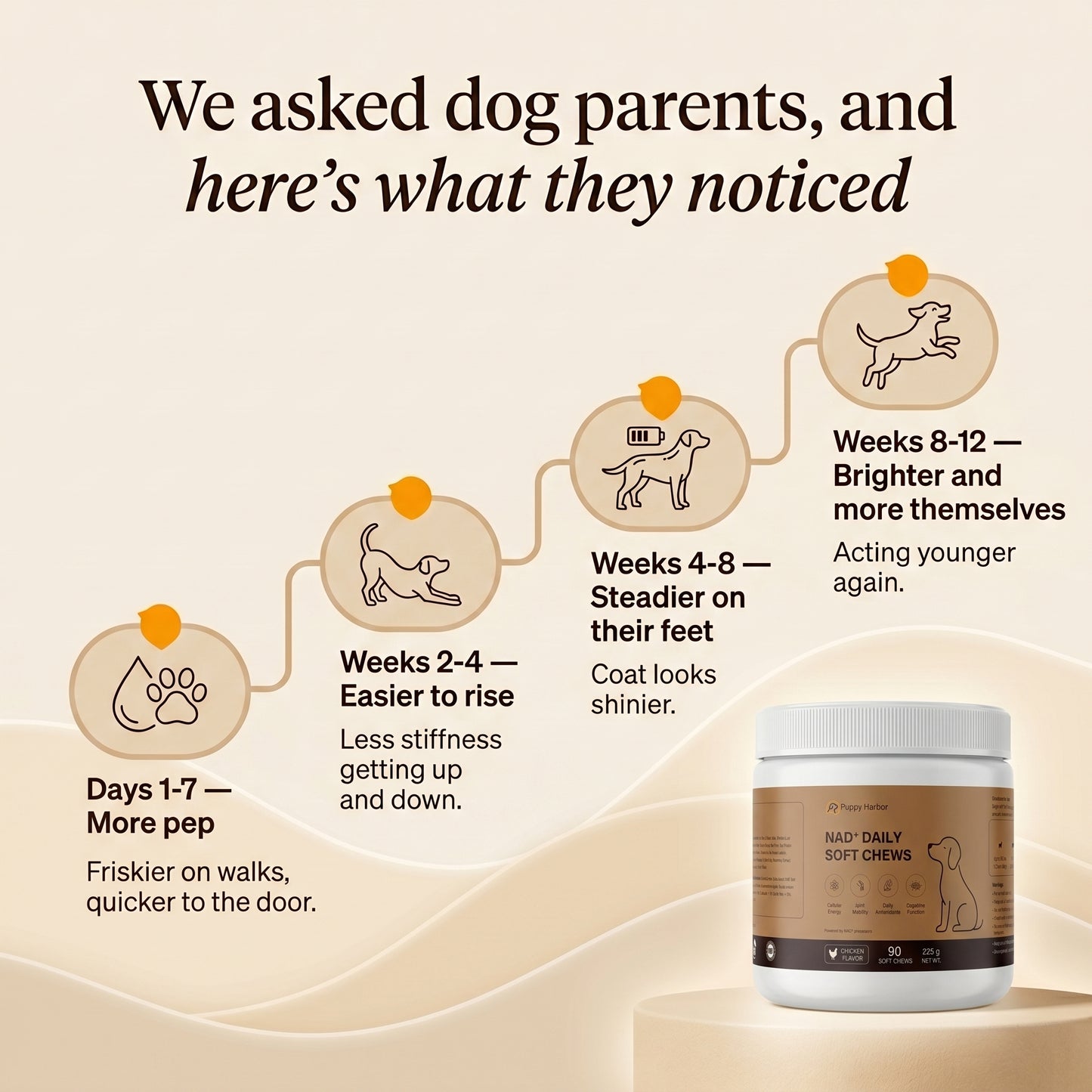 Puppy Harbor Vitality NAD⁺ - Dog Longevity Chew